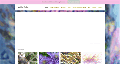 Desktop Screenshot of meilinehlke.com